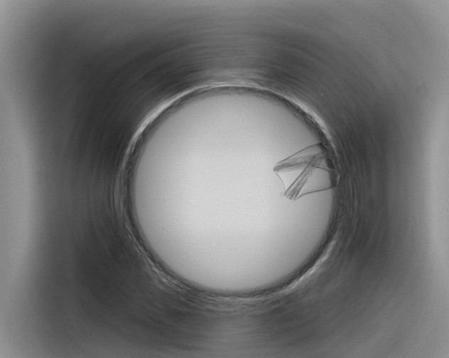 X0000116340925200912011015