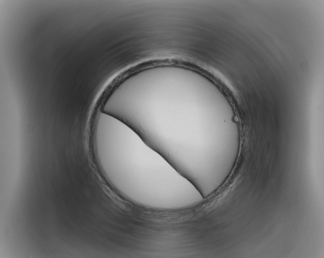 X0000116340927200912011015