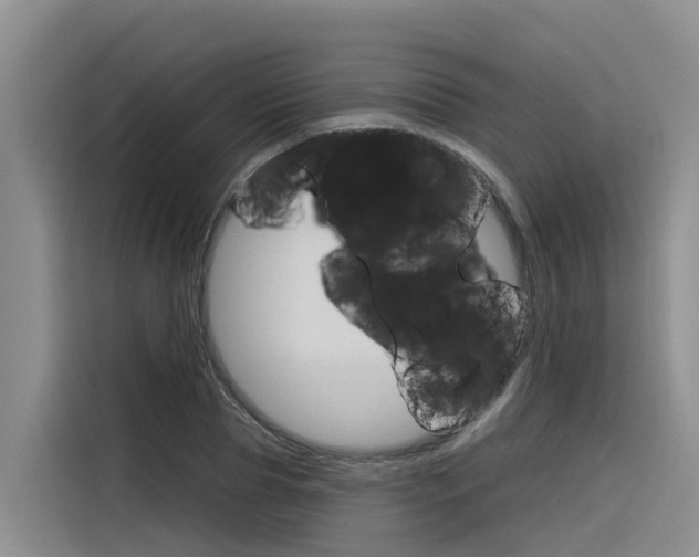 X0000116340929200912011015