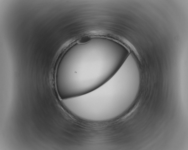 X0000116340930200912011015