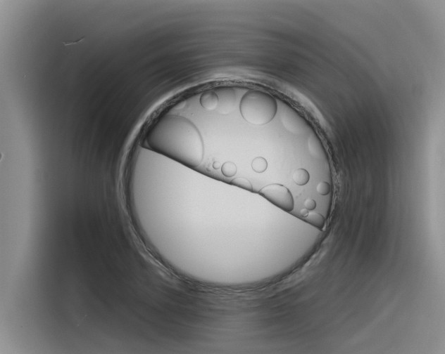 X0000116340931200912011015