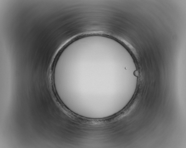X0000116340933200912011015