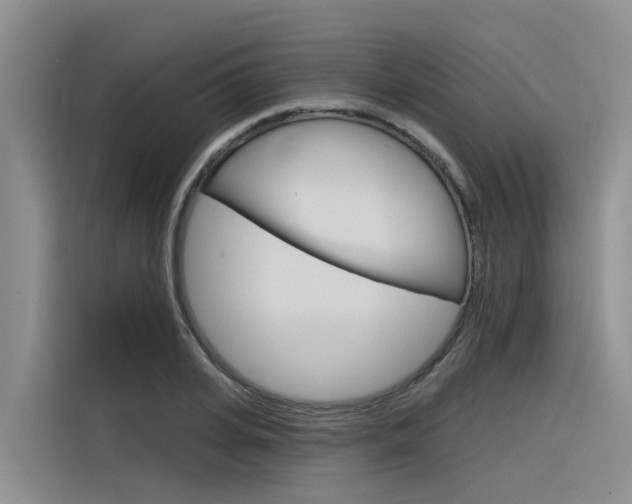 X0000116340935200912011015