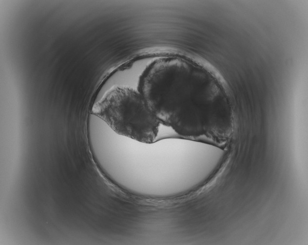 X0000116340937200912011015