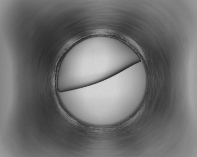 X0000116340938200912011015