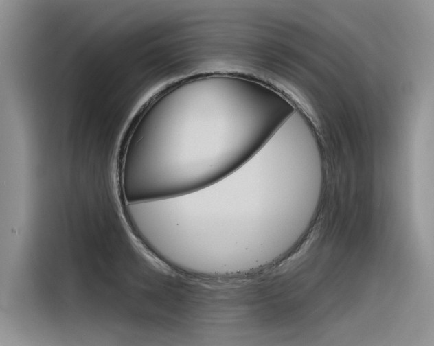 X0000116340942200912011015