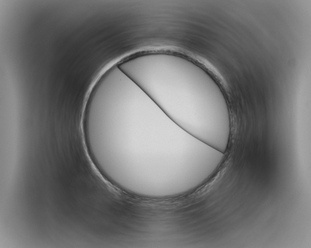 X0000116340943200912011015