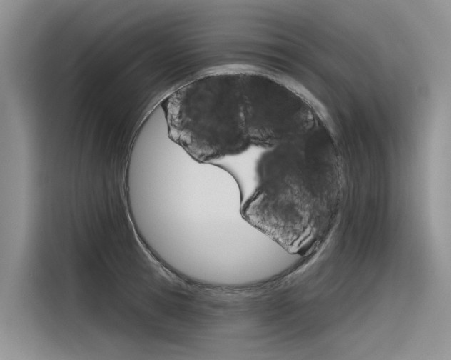 X0000116340945200912011015