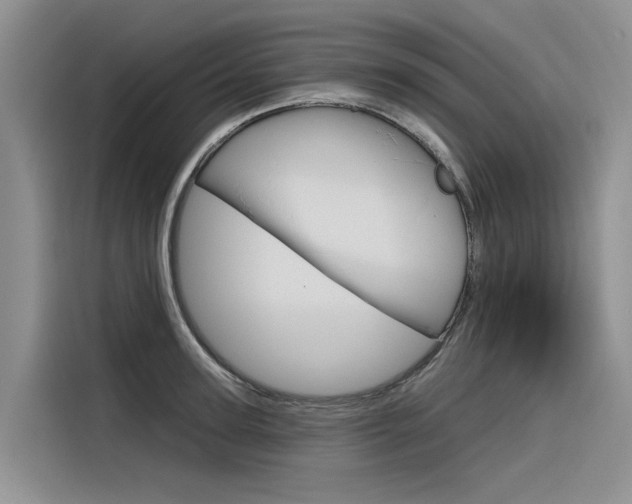 X0000116340947200912011015