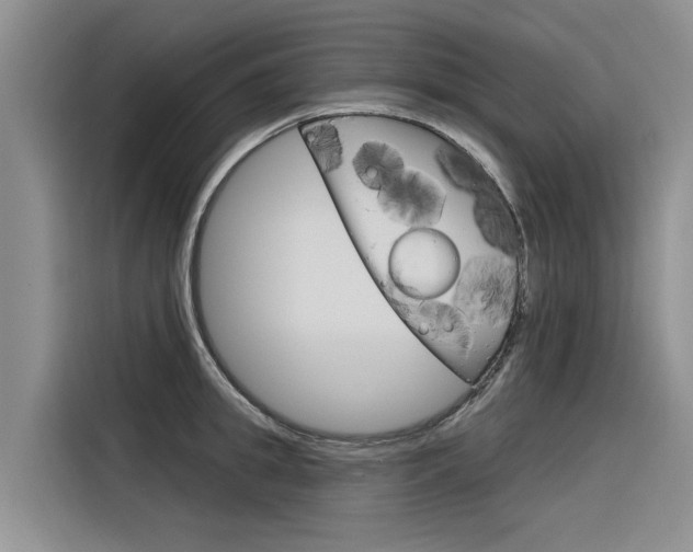 X0000116340949200912011015