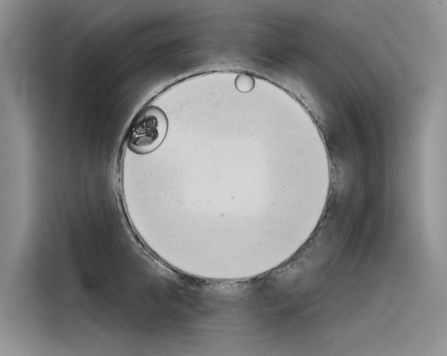 X0000116340950200912011015