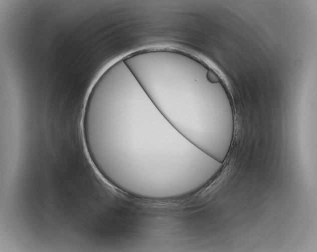 X0000116340951200912011016