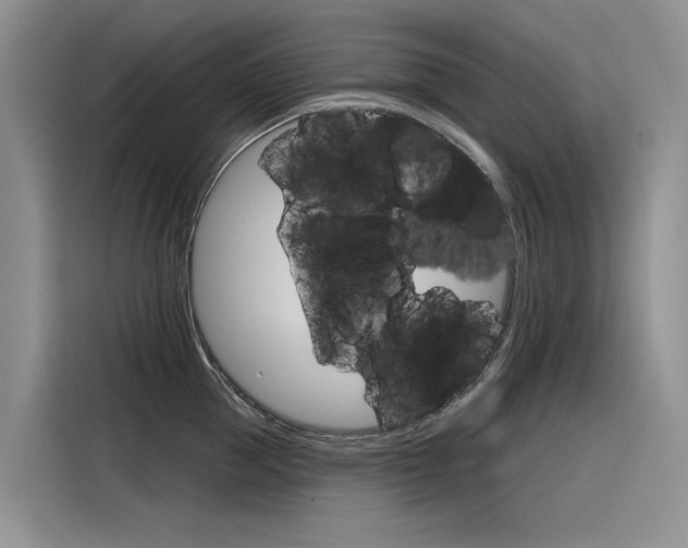 X0000116340953200912011016