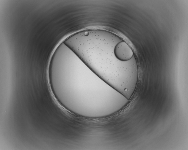 X0000116340955200912011016