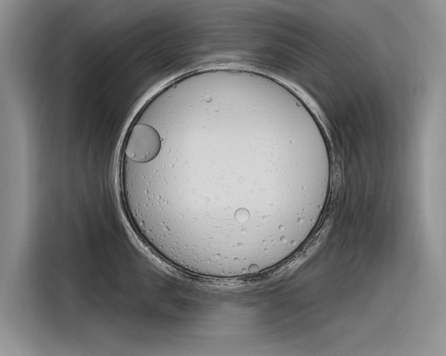 X0000116340957200912011016