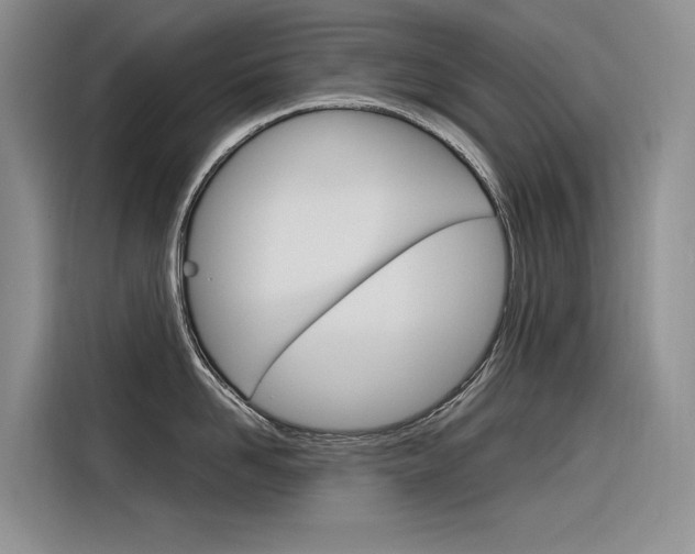 X0000116340958200912011016