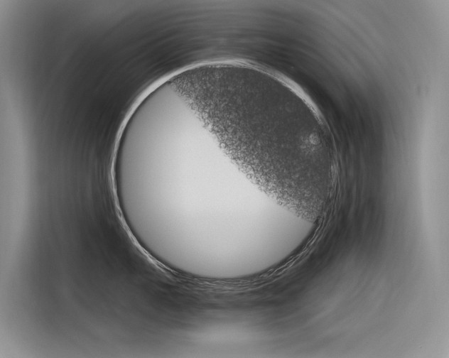 X0000116340959200912011016