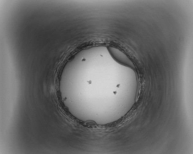 X0000116340961200912011015