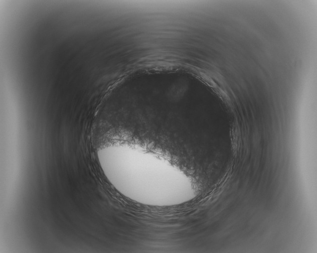 X0000116340962200912011015
