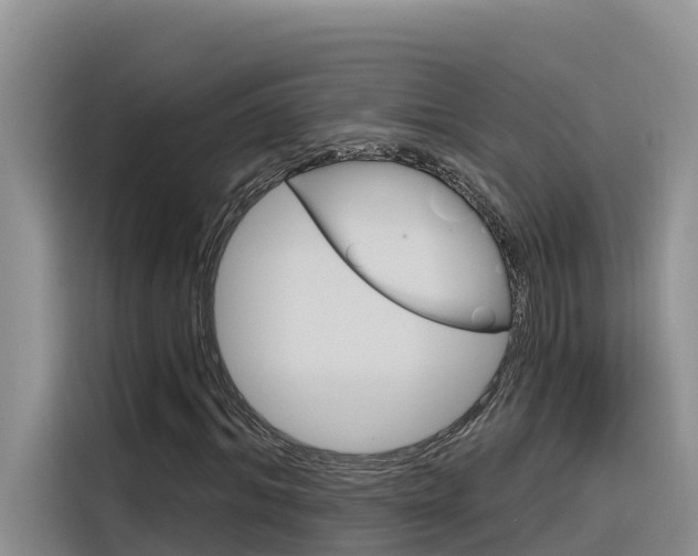 X0000116340964200912011015