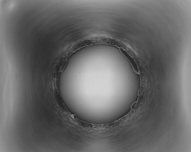 X0000116340965200912011015