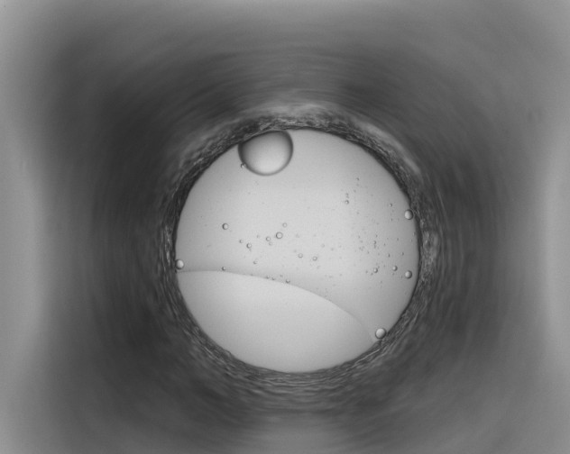 X0000116340966200912011015