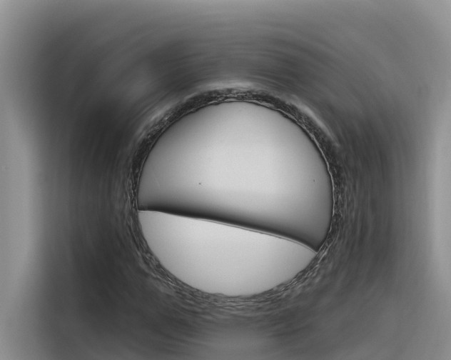 X0000116340967200912011015