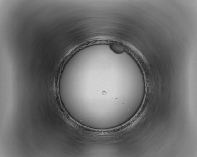 X0000116340969200912011015