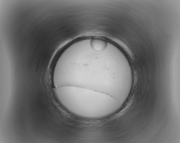 X0000116340974200912011015