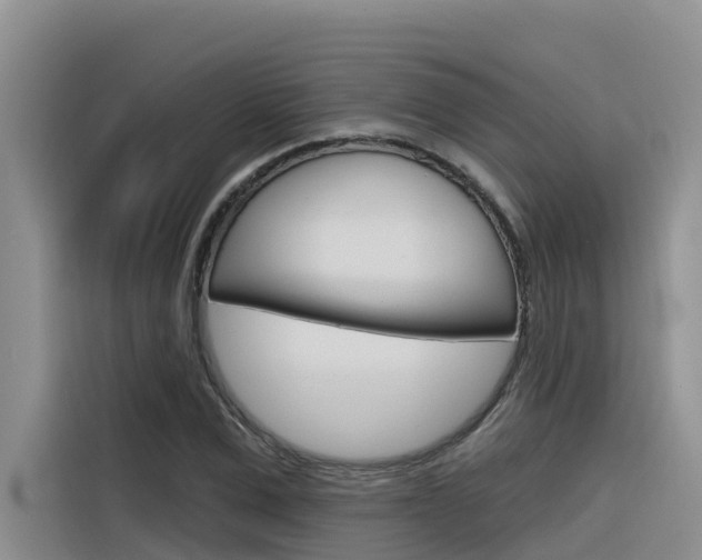 X0000116340975200912011015