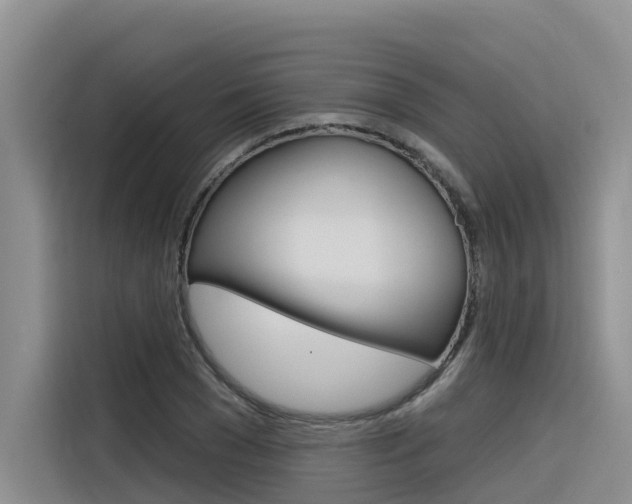 X0000116340977200912011015