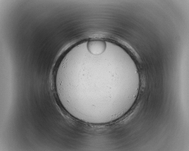 X0000116340978200912011015