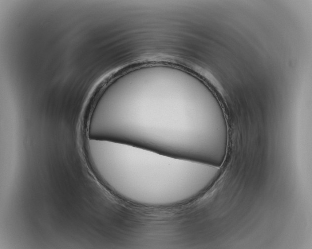 X0000116340979200912011015