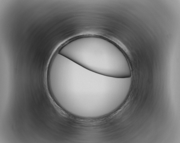 X0000116340980200912011015
