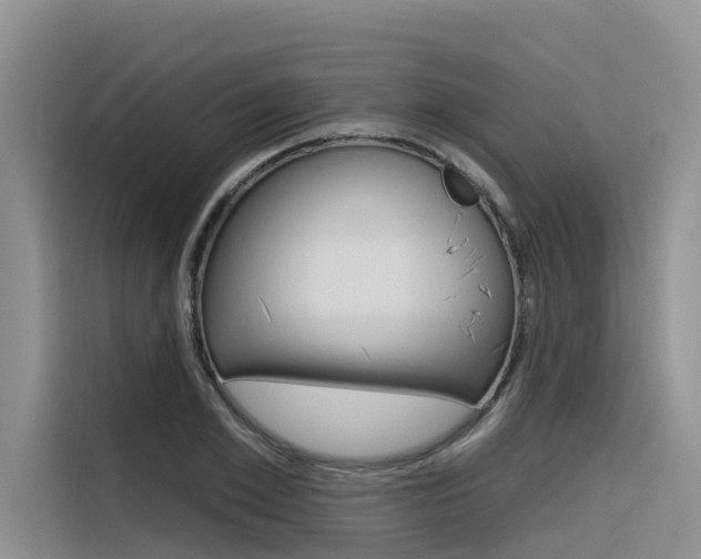X0000116340981200912011015