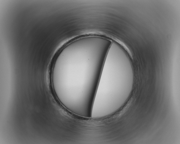 X0000116340983200912011015
