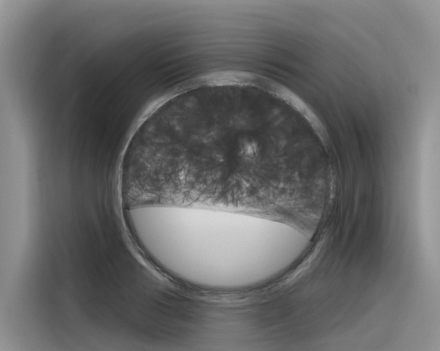 X0000116340986200912011015