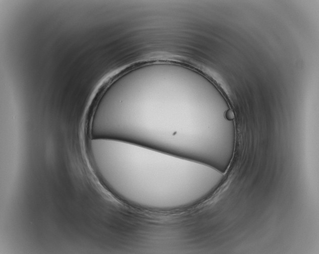 X0000116340987200912011015