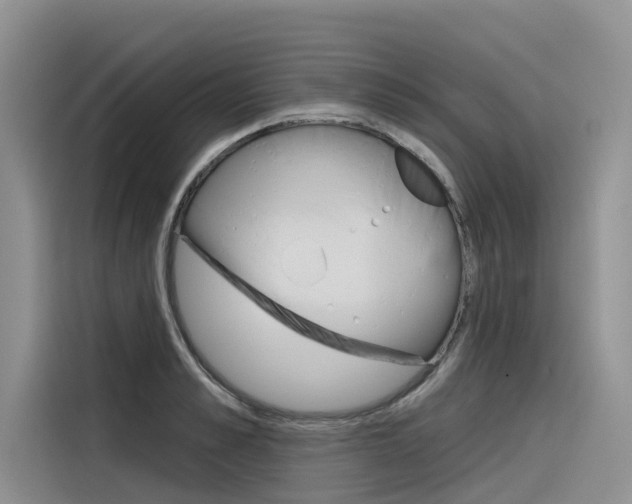 X0000116340989200912011015