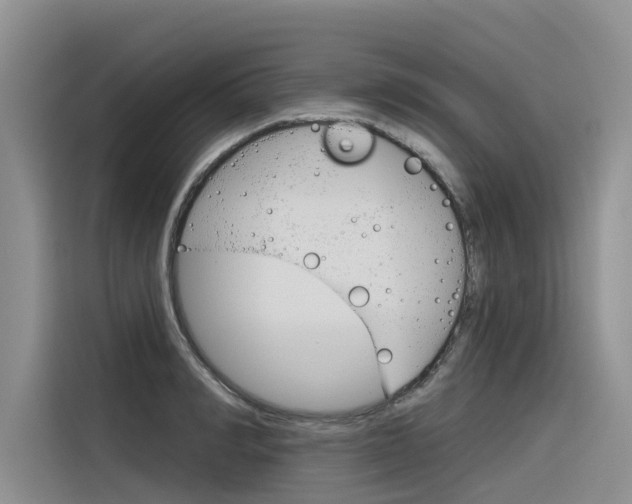 X0000116340990200912011015