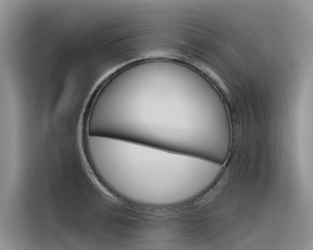 X0000116340991200912011015