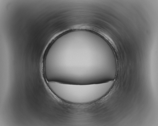 X0000116340992200912011015