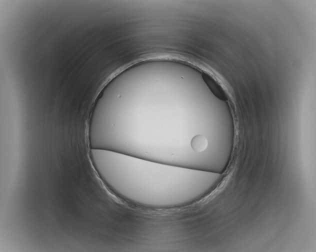 X0000116340993200912011015