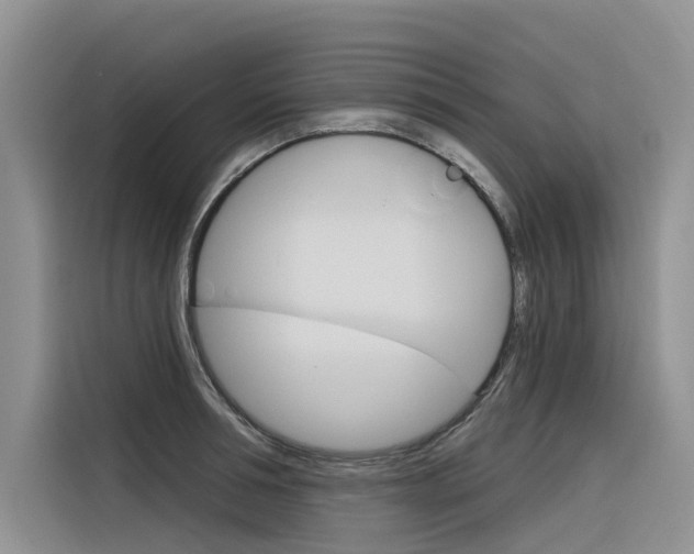 X0000116340994200912011015