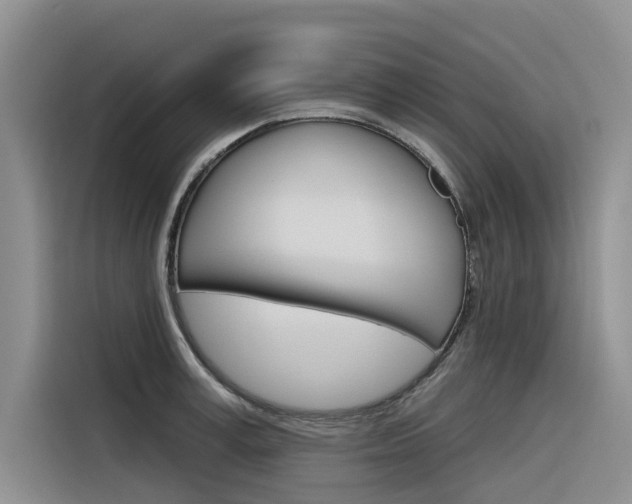X0000116340995200912011015