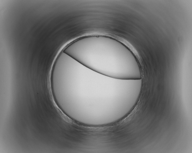 X0000116340996200912011015