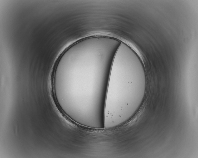 X0000116340999200912011015