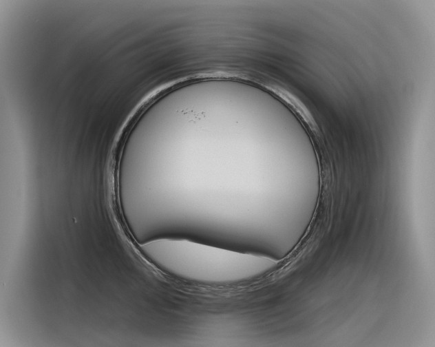 X0000116341000200912011014