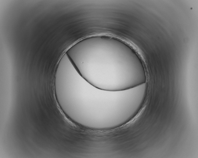 X0000116341001200912011014