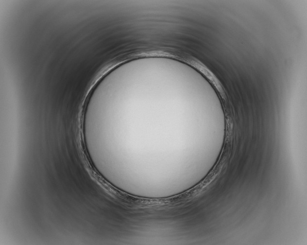 X0000116341002200912011014